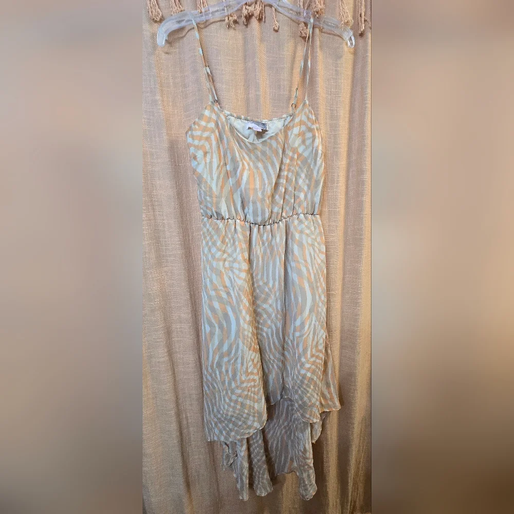 Loves 21 Chic Zebra Print Spaghetti Strap Dress - Picture 2 of 5